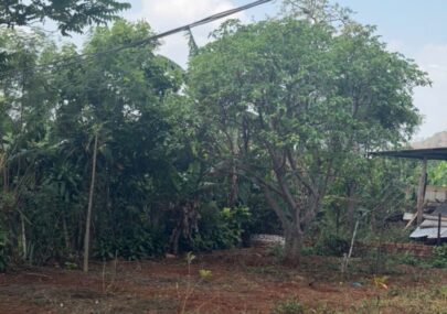 Bán Lô Đất Đẹp Giá Rẻ Thôn 3 Cubur Phường BMT