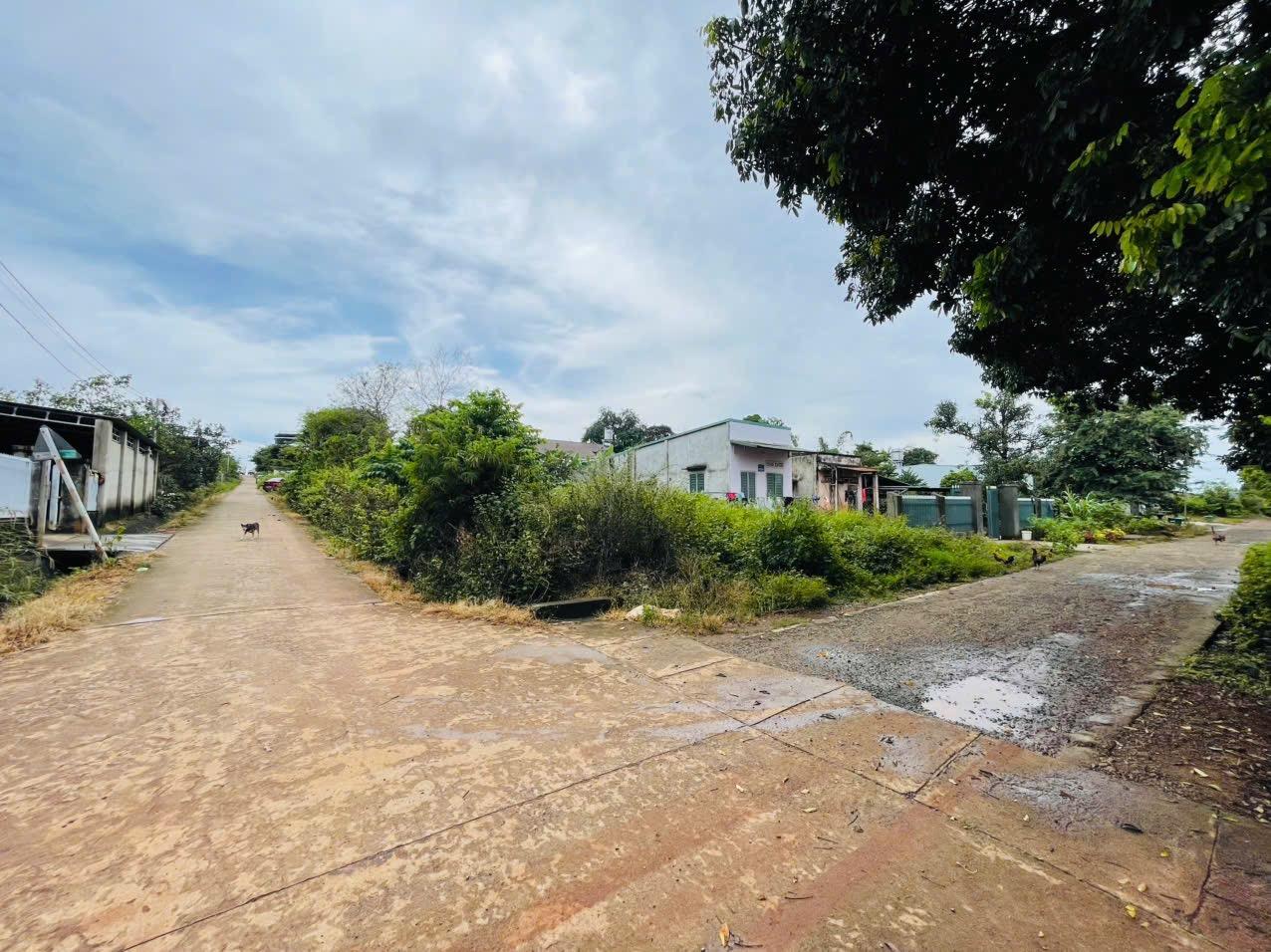 Đất 2 Mặt Tiền Thôn 4 CuEbur – Phường Buôn Ma Thuột