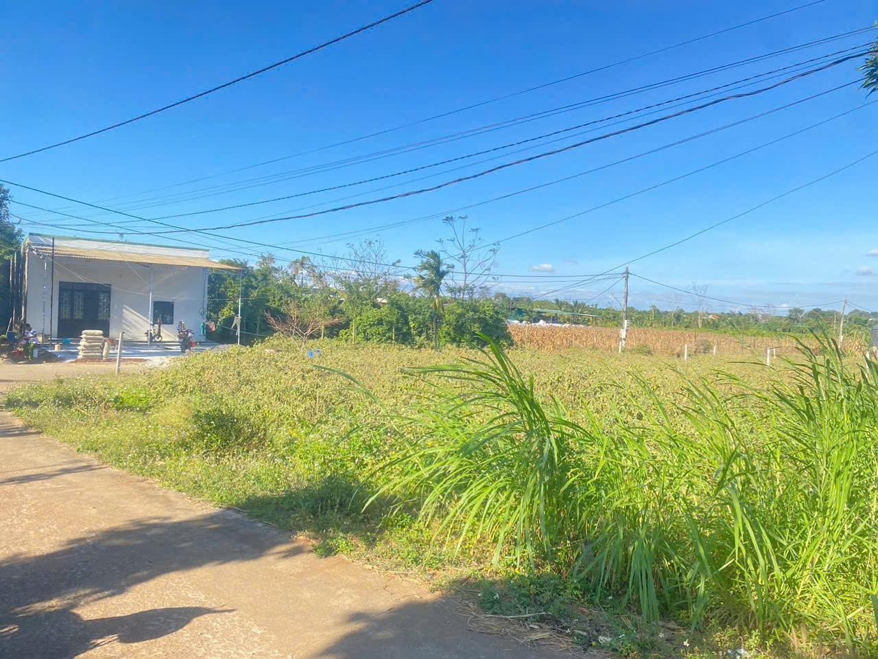 Đầu năm e lên siêu phẩm rẻ góc 2 mặt tiền cách uỷ ban phường eakao 1km .
