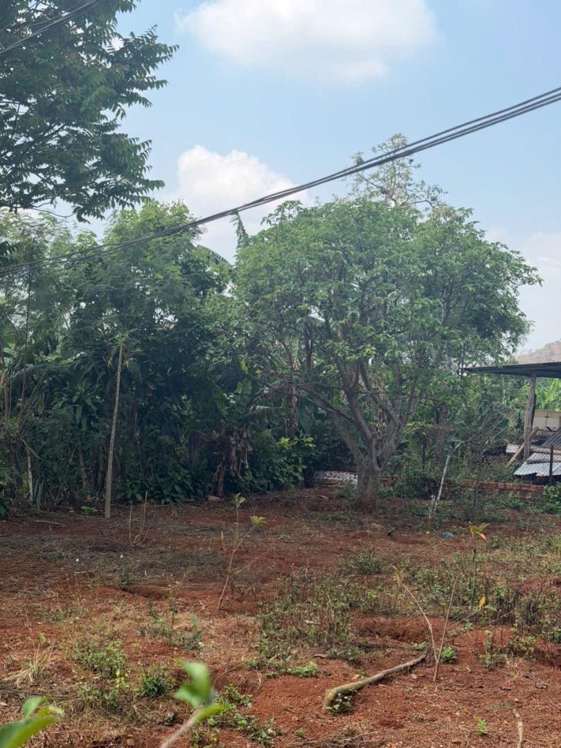 Bán Lô Đất Đẹp Giá Rẻ Thôn 3 Cubur Phường BMT