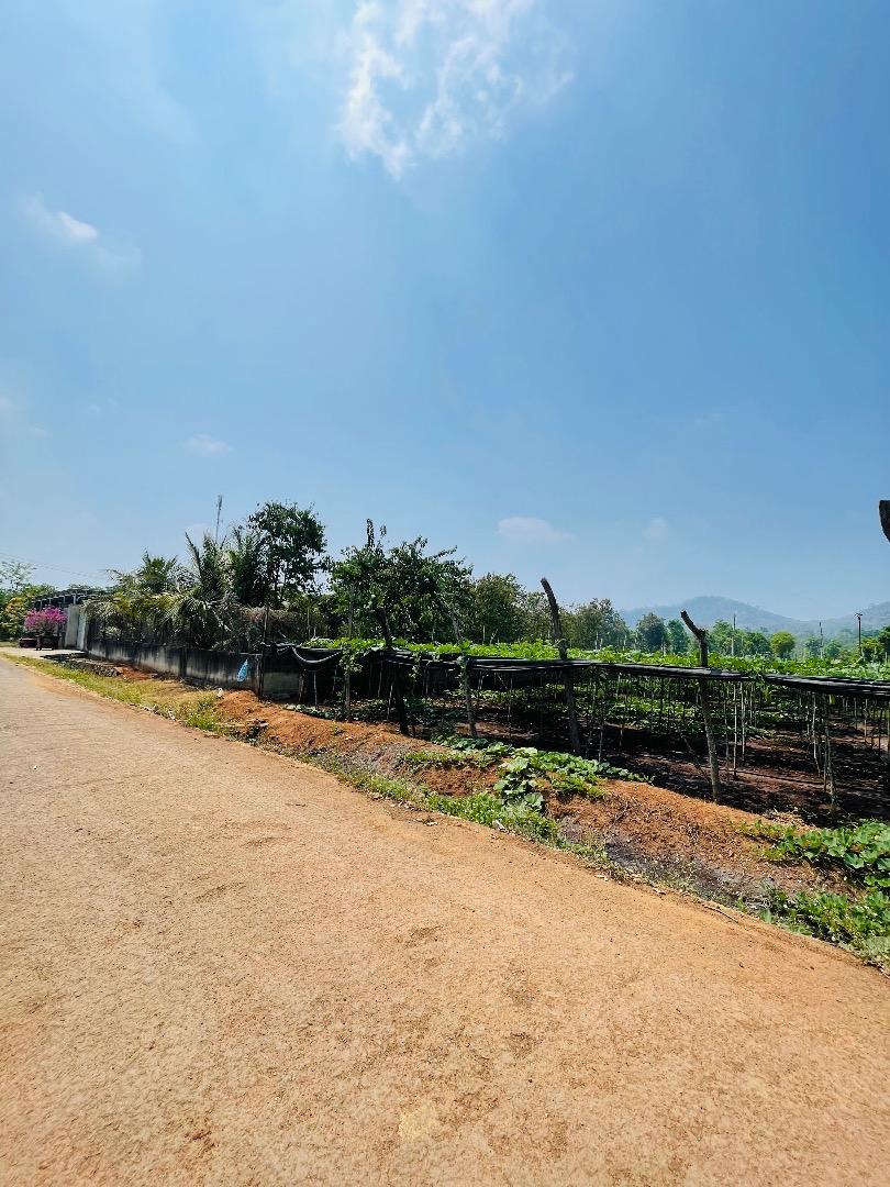 🌿 BÁN LÔ ĐẤT NHÀ VƯỜN CƯ ÊBUR – GIÁ TỐT CHỈ 2,4 TỶ 🌿